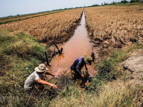 NĂM 2022, XÂM NHẬP MẶN MÙA KHÔ VÙNG ĐBSCL KHÔNG QUÁ NGHIÊM TRỌNG